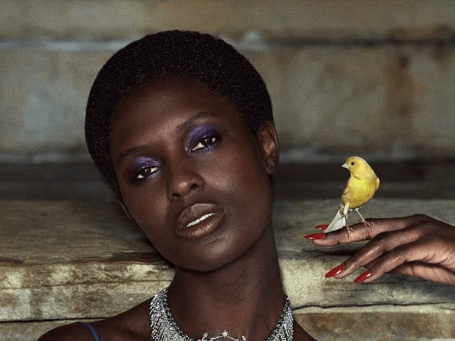 Сад наслаждений: Джоди Тернер-Смит стала лицом второй ювелирной коллекции Gucci