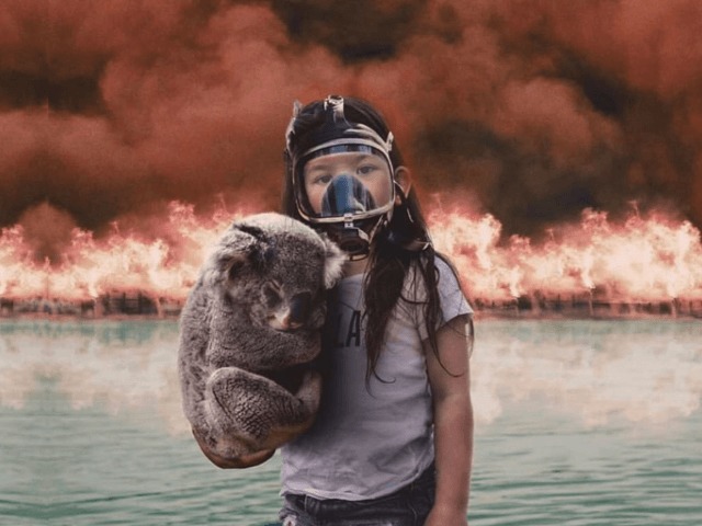 Пожары в Австралии: Кто виноват и что происходит на самом деле