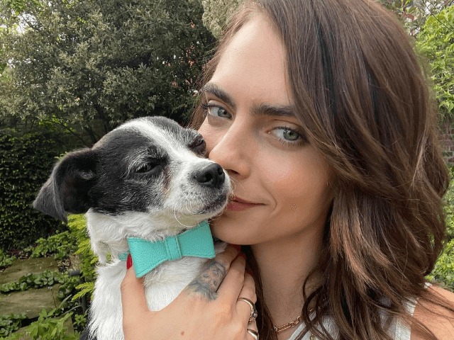 Кара Делевинь создала комикс, чтобы спасти животных