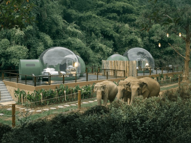 Что внутри: Отель с номерами в виде прозрачных шаров посреди джунглей Таиланда