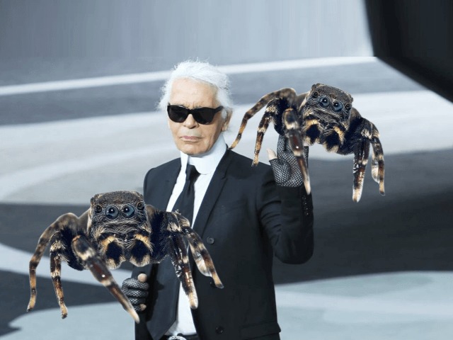 Ученые назвали новый вид пауков в честь Карла Лагерфельда 