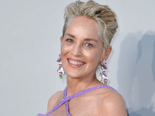 Шэрон Стоун получит главную награду "Золотая икона" на кинофестивале в Цюрихе