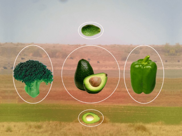 10 продуктов, повышающих и укрепляющих иммунитет