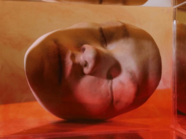 Bird In Flight открыли прием заявок на конкурс новаторской фотографии