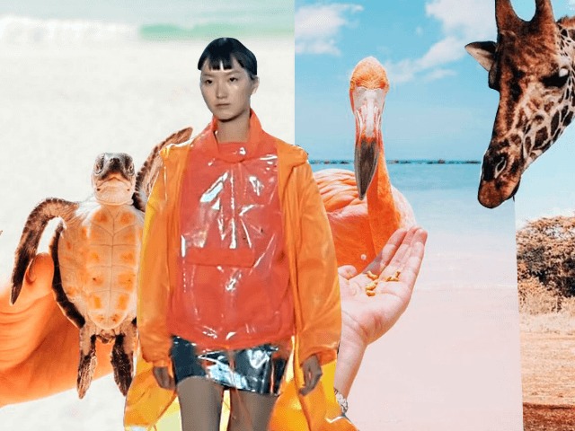 ВВС запускают экологичный бренд