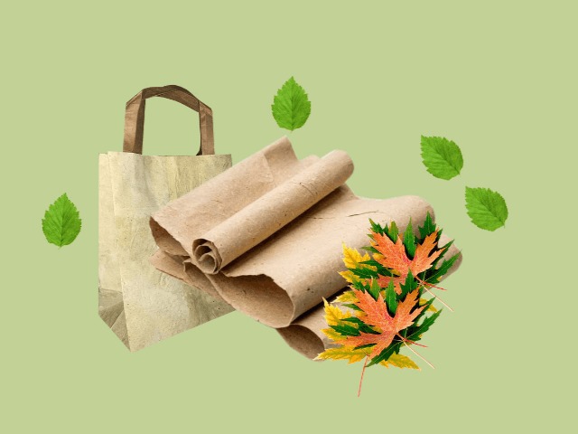 В Украине впервые в мире изготовили бумагу из опавших листьев