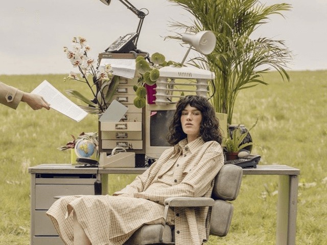 Исследование: Растения на рабочем месте помогают снизить уровень стресса