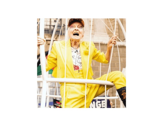 Вивьен Вествуд закрыла себя в огромной птичьей клетке в поддержку Джулиана Ассанжа