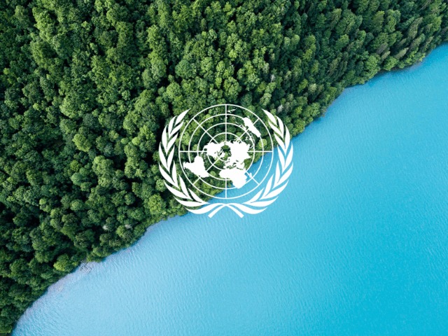 У нас осталось 10 лет, чтобы спасти планету. ООН поставили 20 целей 