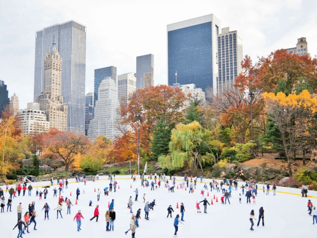 В Протасовом Яру создадут аналог нью-йоркского Центрального парка