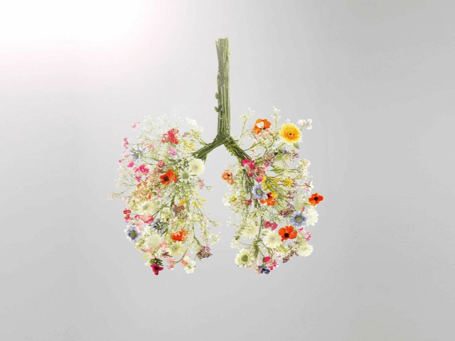 #даруйповітря: В Украине запустили благотворительный проект для покупки 24 аппаратов ИВЛ