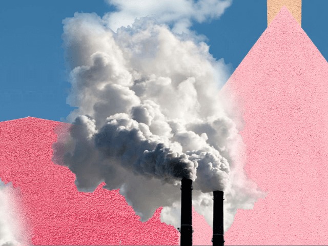 Впервые за 2 года: Количество выбросов углекислого газа в 2019 году перестало расти