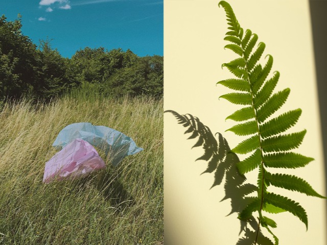 Пугающие цифры: Ежегодно в мире тратится $ 1,8 триллиона на развитие неэкологичных предприятий