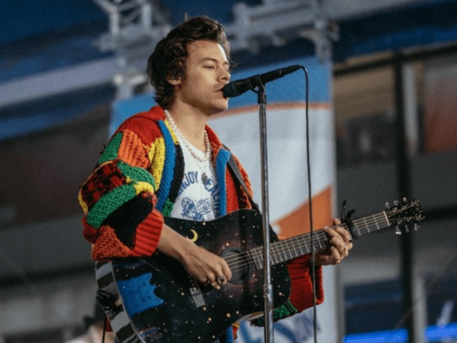 Кардиган JW Anderson Гарри Стайлза выставят в Музее Виктории и Альберта