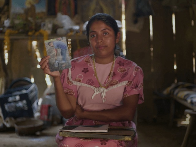 Ай Вэйвэй расследует исчезновение 43 студентов в Мексике в трейлере документального фильма Vivos