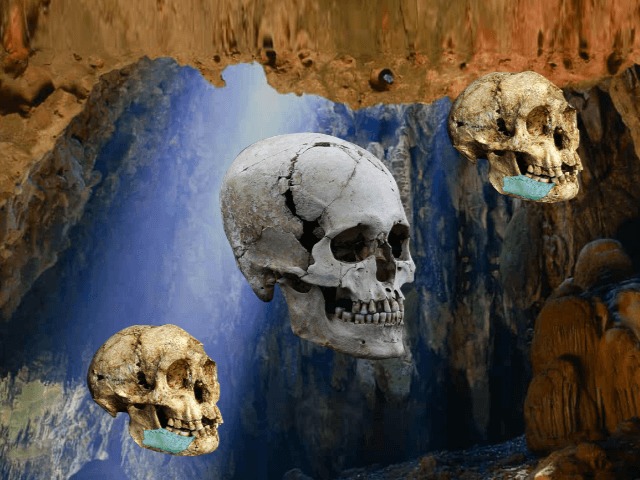 Знакомьтесь, Homo luzonensis: Ученые открыли новый вид первобытных людей