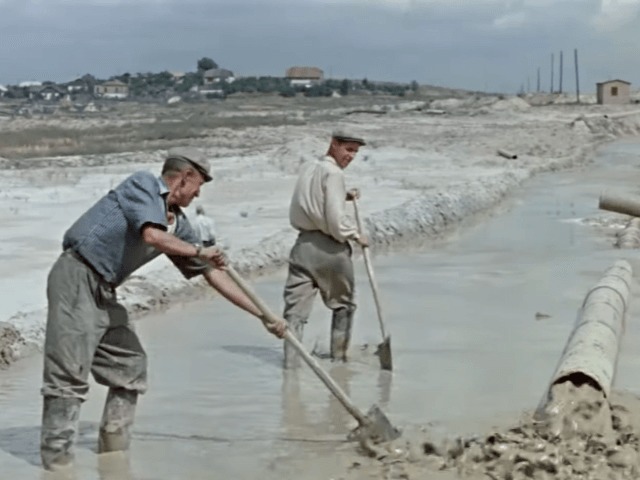 В Каннах покажут документальный фильм Сергея Лозницы о Бабьем Яре