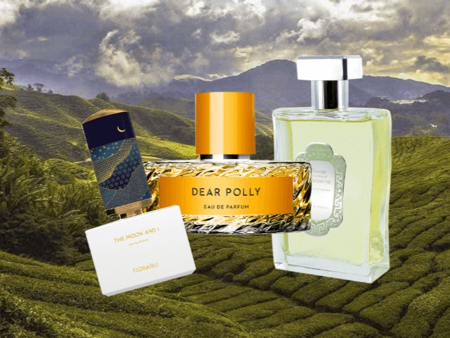 7 парфюмов с нотами чая для дождливого лета