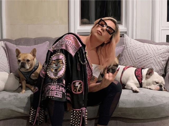 Леди Гага проведет благотворительный онлайн-концерт в поддержку медработников