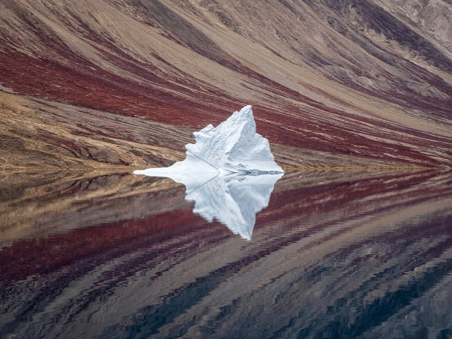 Смотрите: Лучшие работы фотоконкурса Sony World Photography Awards — 2020