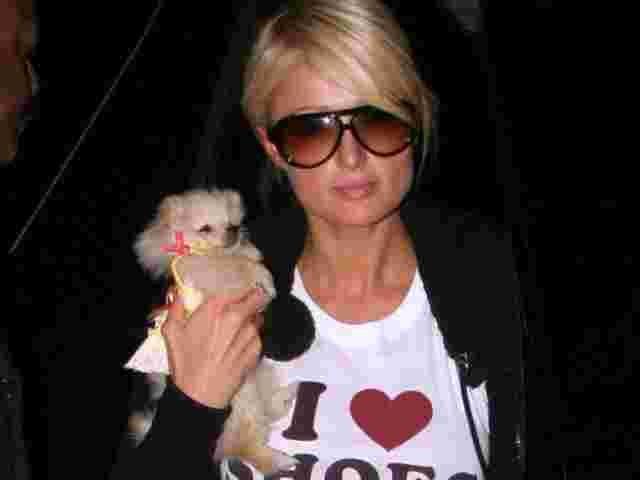 Періс Гілтон — 45: кращі образи королеви вечірок 00-х