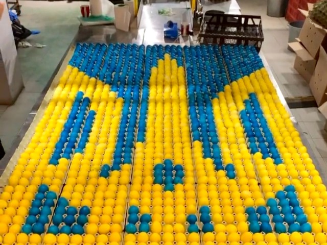 У Львові виклали жовто-блакитний тризуб із 5 тисяч крашанок