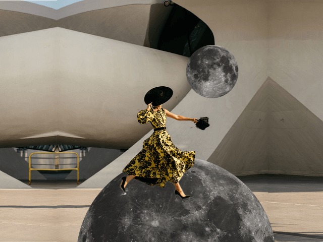 Японский миллиардер ищет девушку для совместного полета на Луну