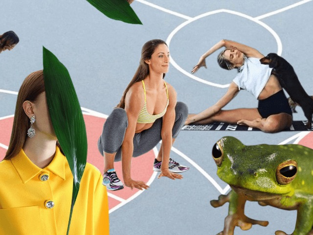 Новый вид фитнеса Animal Flow: Так ли он эффективен, как о нем говорят?