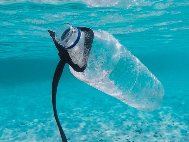 Сотни тысяч тонн микропластика возвращаются на сушу вместе с морским бризом