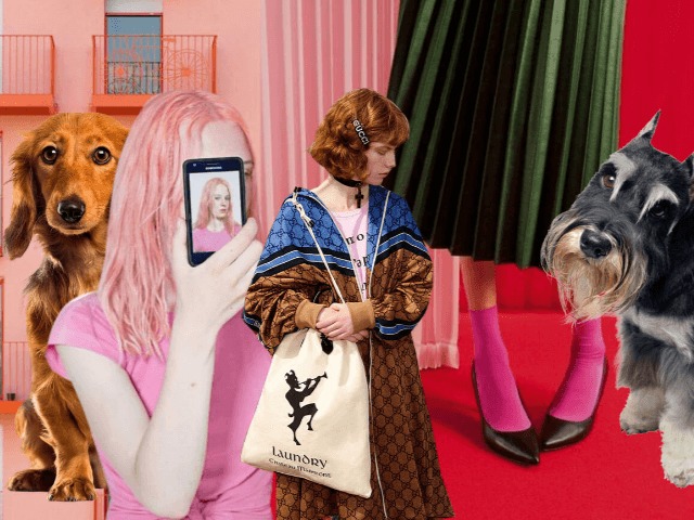 Осознанность и любовь к собакам: Привычки миллениалов, которым стоит поучиться 