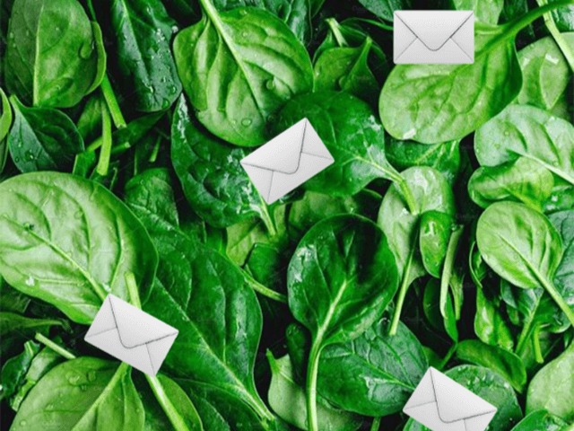 Ученые вырастили "умный шпинат". Он может отправлять электронные письма и распознавать опасные вещества