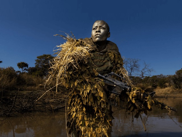 Смотрите: Работы победителей конкурса World Press Photo –  2019