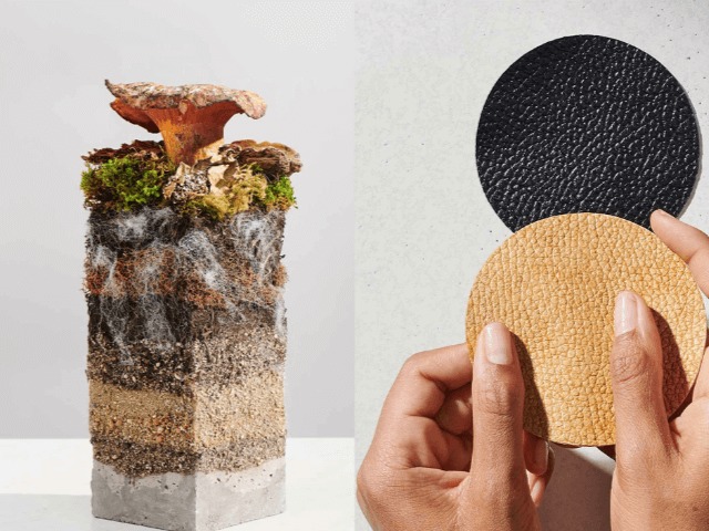 New York Times назвали экокожу из грибов главным трендом осени