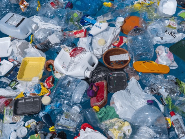 Жизнь в "пластисфере": Ученые обнаружили в океане бактерии, питающиеся пластиком